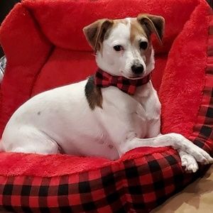 Meet your Posher, Gregory